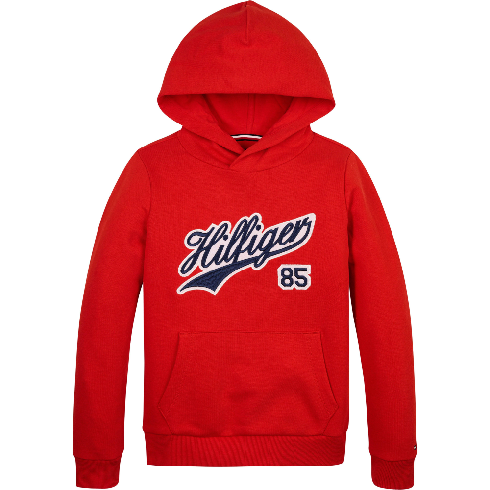 Tommy Jeans Hilfiger Script Hoodie Junior