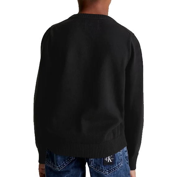 Calvin Klein Jeans Graphic Sweater Junior